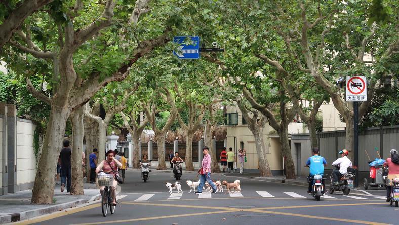 上海最美的“地标”,被误会太久了